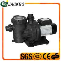 Swimming Pool Accessories Water Pump With High Efficiency